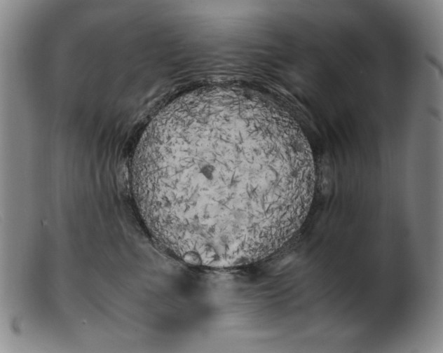 X0000099400523200805221859