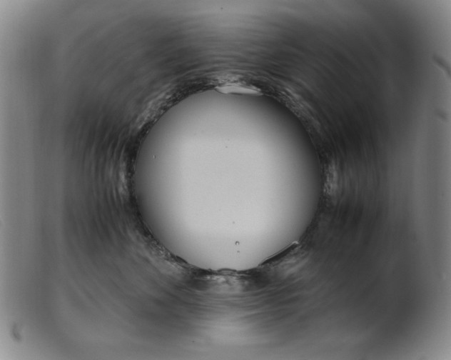 X0000099400524200805221859