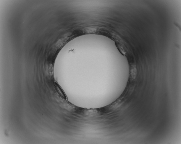 X0000099400525200805221859