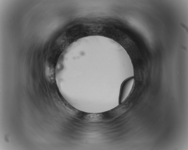 X0000099400526200805221859