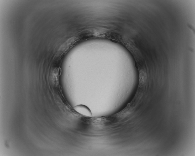 X0000099400527200805221859