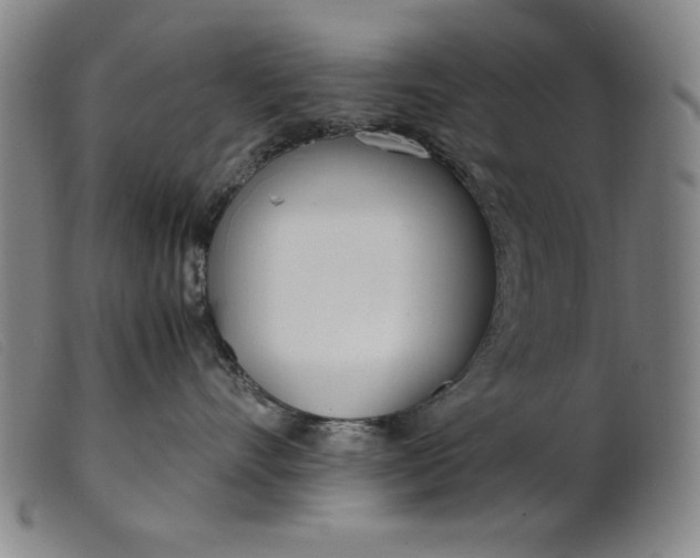 X0000099400528200805221859