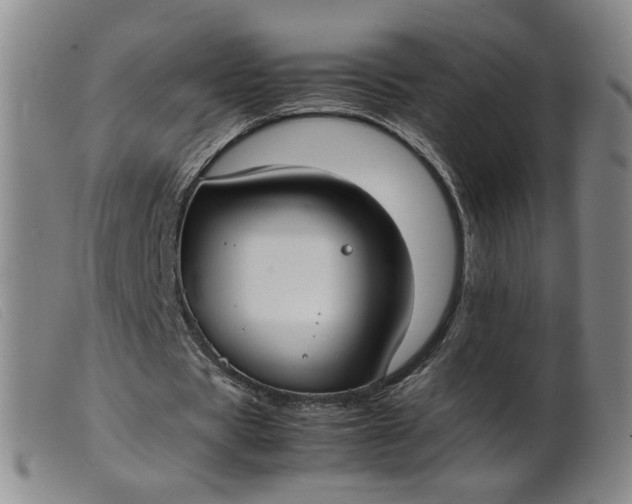 X0000099400529200805221858