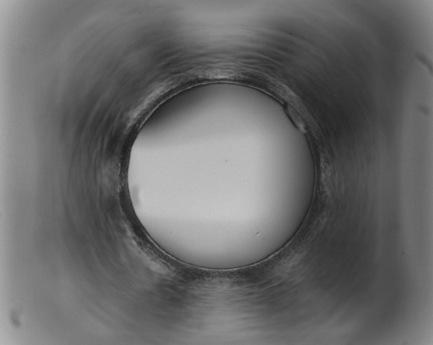 X0000099400530200805221858