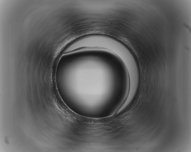 X0000099400531200805221858