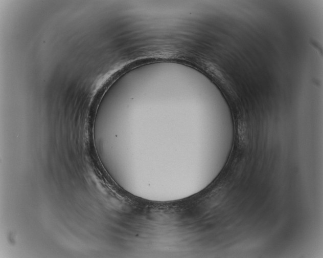 X0000099400532200805221858