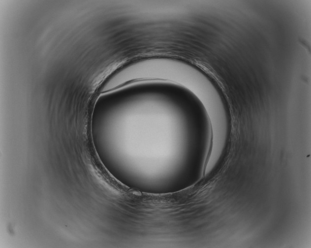 X0000099400533200805221858