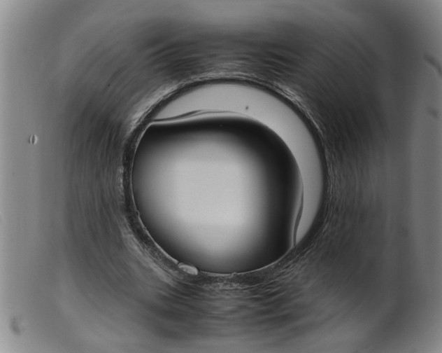 X0000099400535200805221858