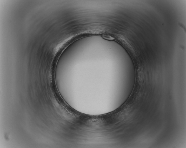 X0000099400536200805221858