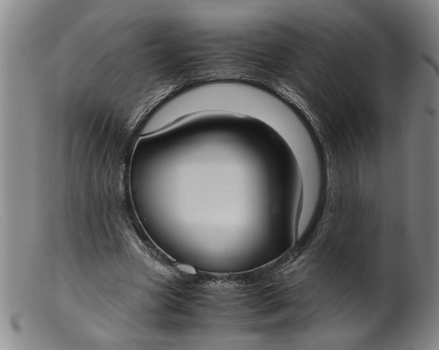 X0000099400537200805221858