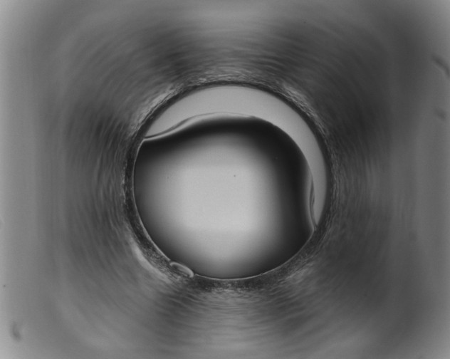 X0000099400538200805221858