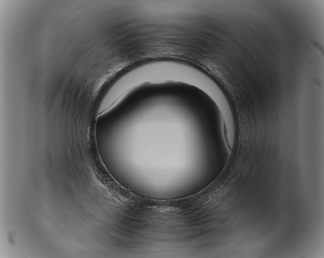 X0000099400539200805221858