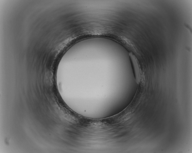 X0000099400540200805221858