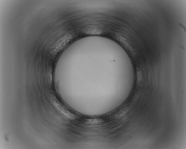 X0000099400541200805221858