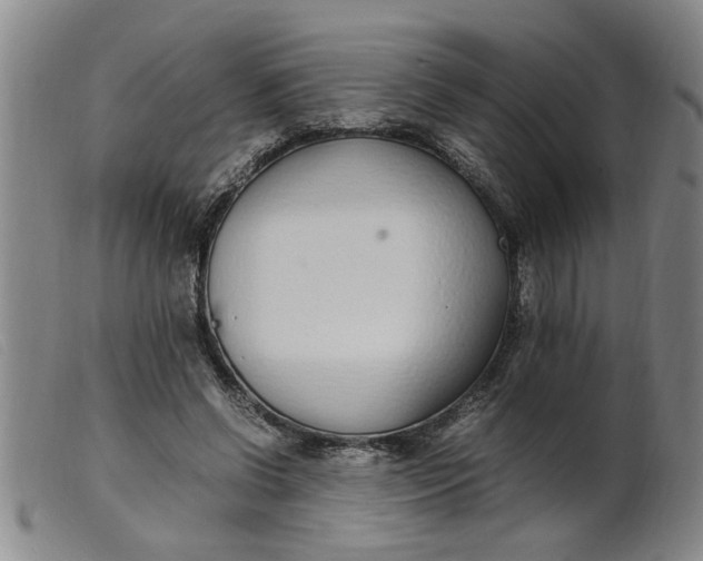 X0000099400542200805221858