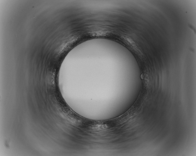 X0000099400543200805221858