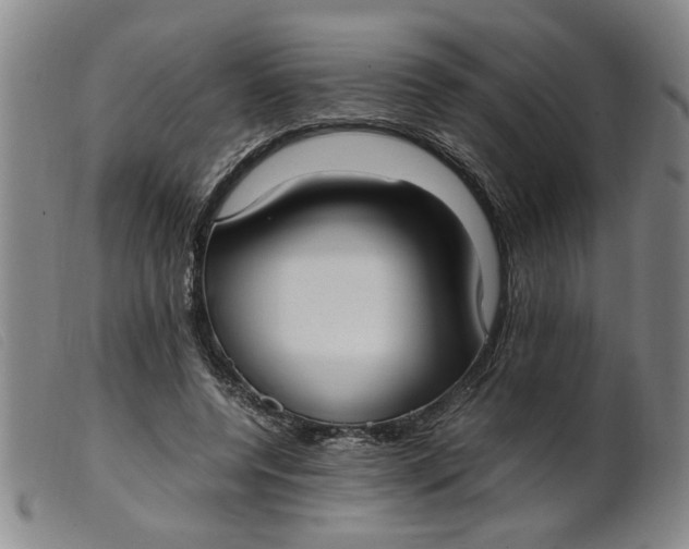 X0000099400544200805221858