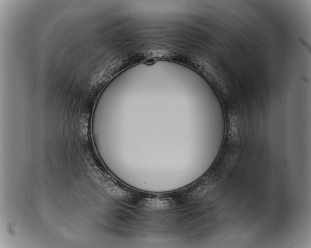 X0000099400545200805221858