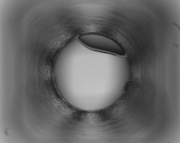 X0000099400546200805221858