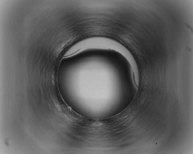 X0000099400547200805221858