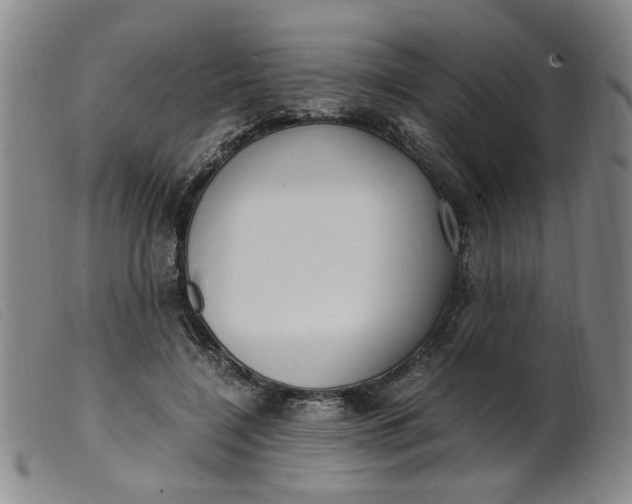 X0000099400548200805221858