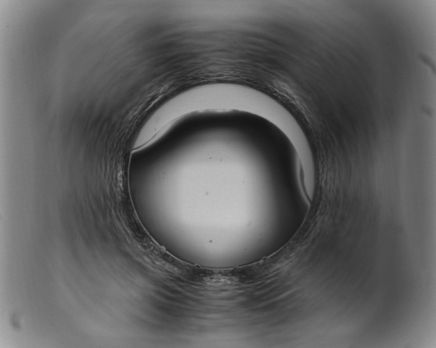 X0000099400549200805221858