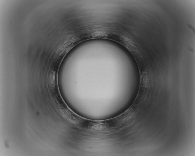 X0000099400550200805221858