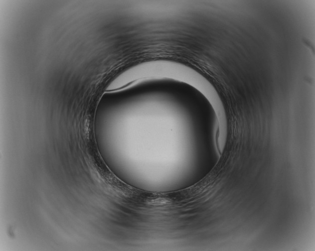 X0000099400551200805221858