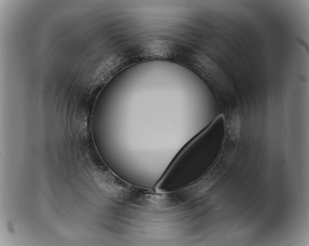 X0000099400552200805221858