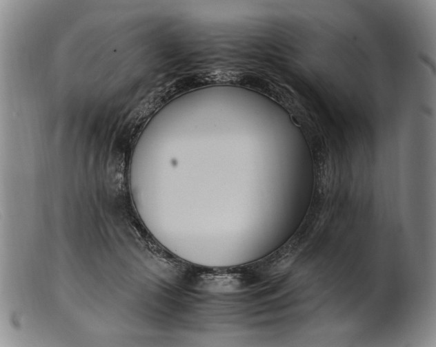 X0000099400553200805221858