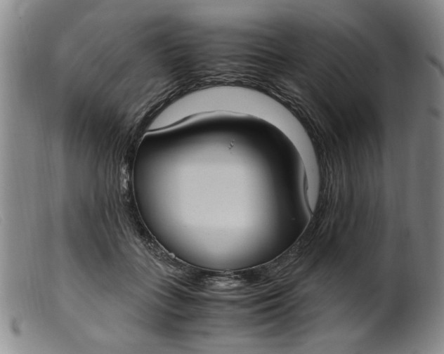 X0000099400555200805221858