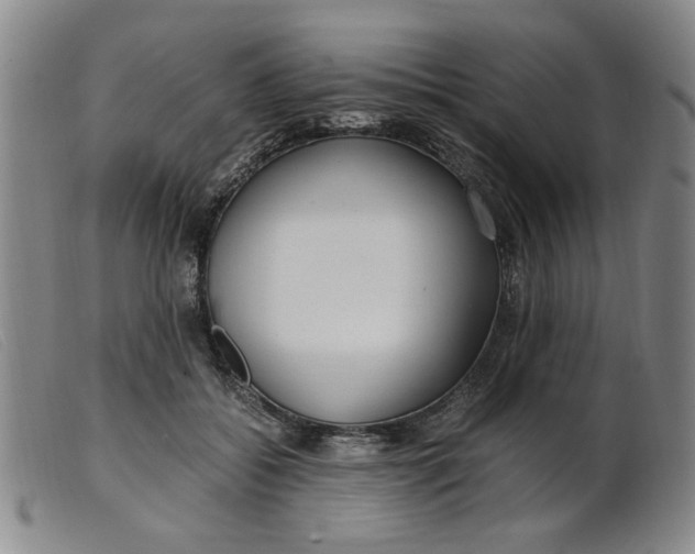 X0000099400556200805221858