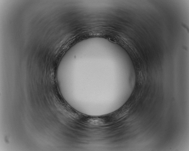 X0000099400557200805221858