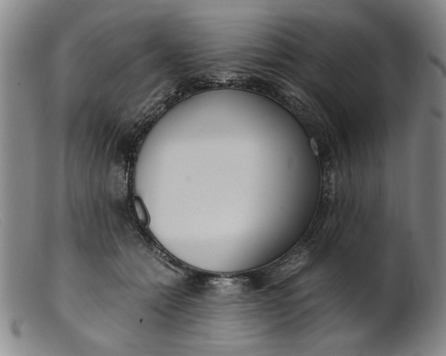 X0000099400558200805221858