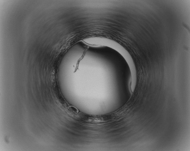 X0000099400559200805221858