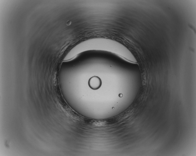 X0000099400560200805221858