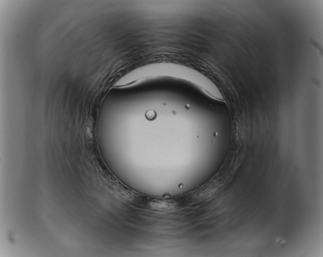 X0000099400561200805221858