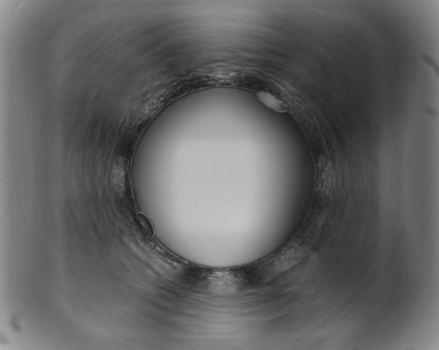 X0000099400562200805221858