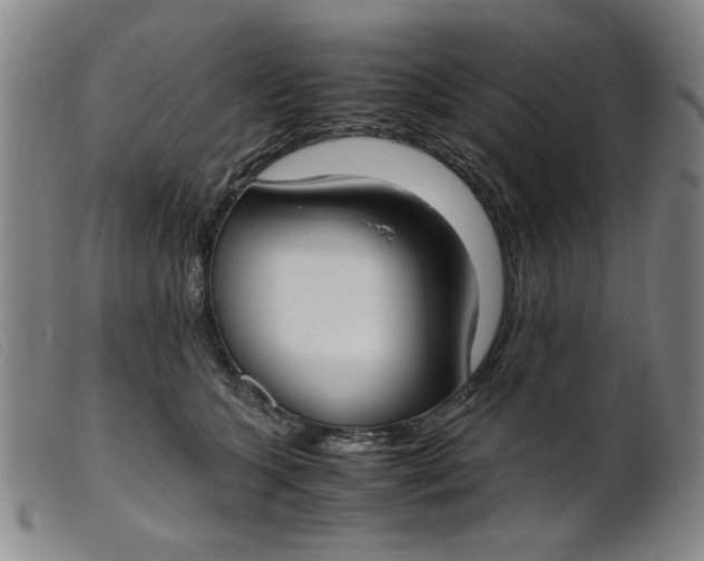 X0000099400563200805221858