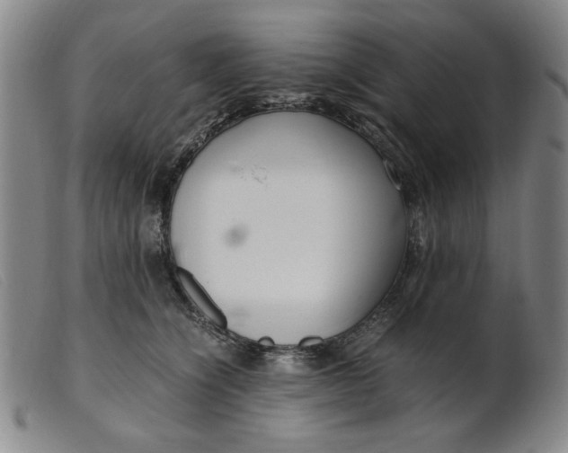 X0000099400564200805221858