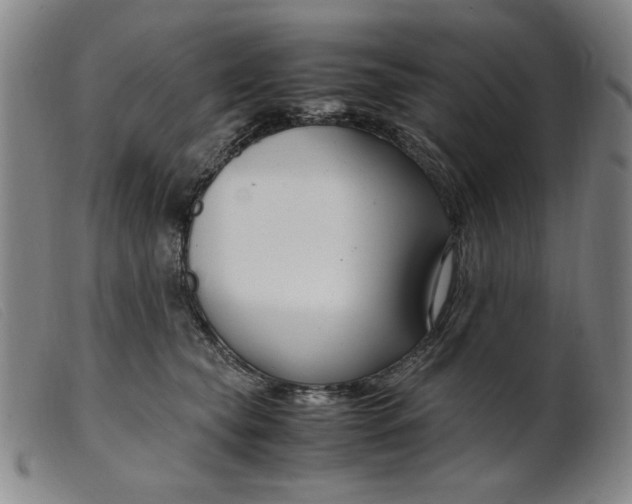 X0000099400565200805221859