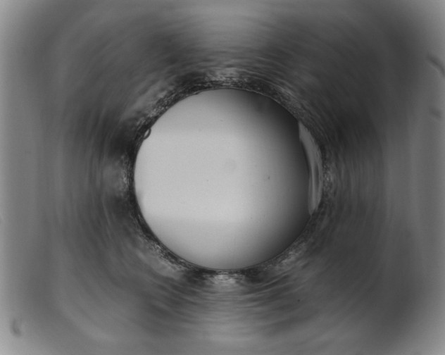 X0000099400566200805221859