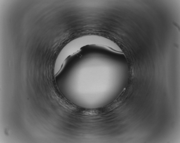 X0000099400567200805221859