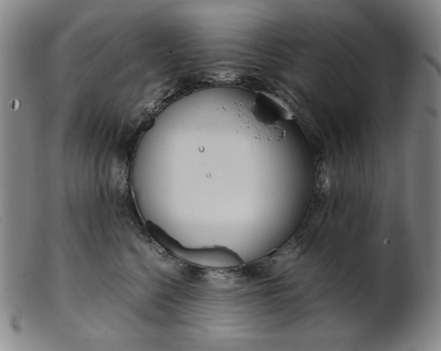 X0000099400568200805221859