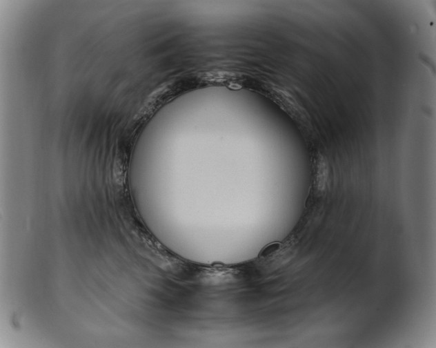 X0000099400569200805221859