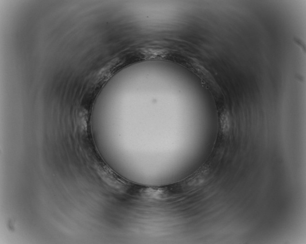 X0000099400570200805221859