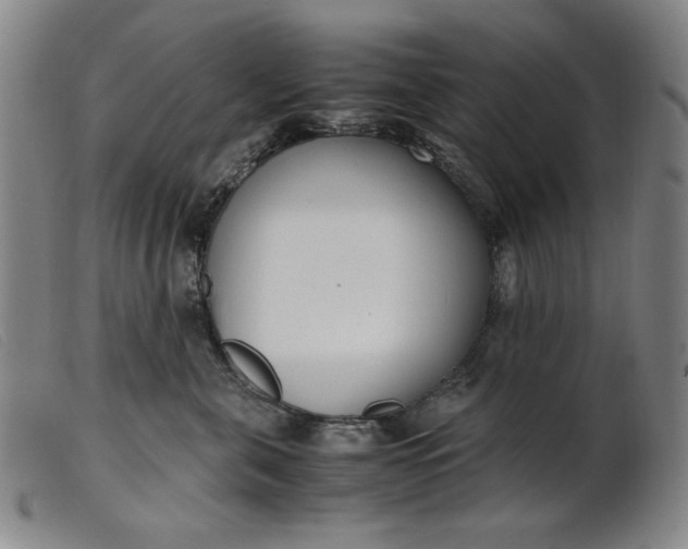 X0000099400571200805221859