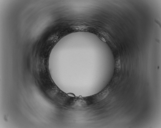 X0000099400572200805221859