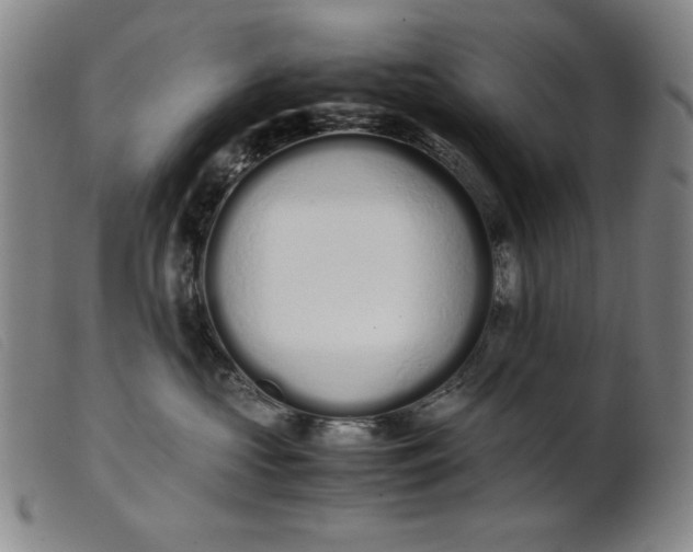 X0000099400573200805221859