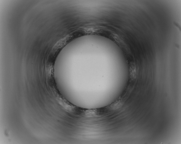 X0000099400574200805221859